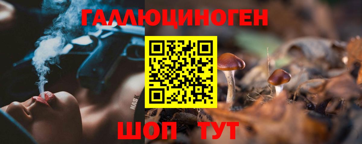 Псилоцибиновые грибы Cubensis  Вход с VPN  Губкинский 