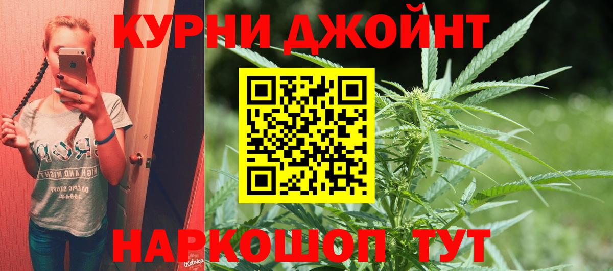 Конопля Губкинский